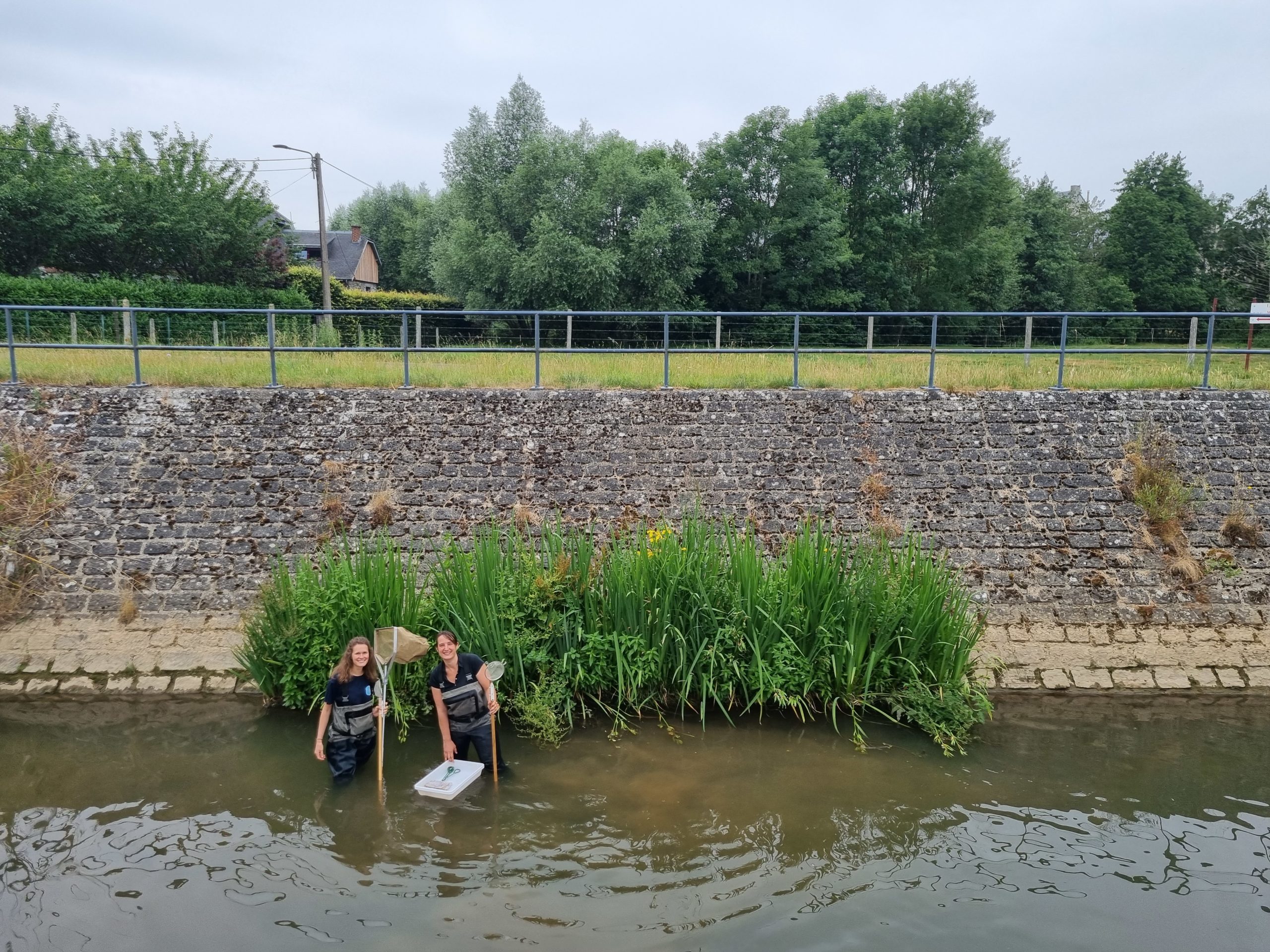 IBGN Sur Les Risbermes De Walcourt - Contrat De Rivière Sambre & Affluents