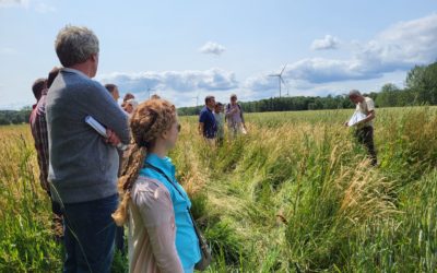 Réduire les contaminations de l’eau et de l’environnement par les produits phytopharmaceutiques (PPP)